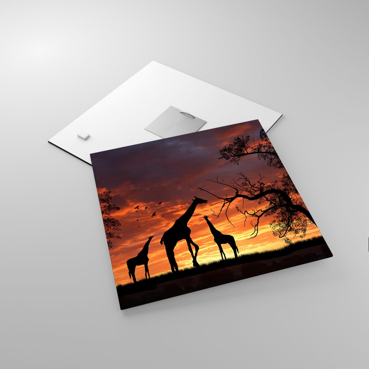 Glasbild Tiere, Glasbild Giraffe, Glasbild Afrika, Glasbild Natur, Glasbild Der Sonnenuntergang
