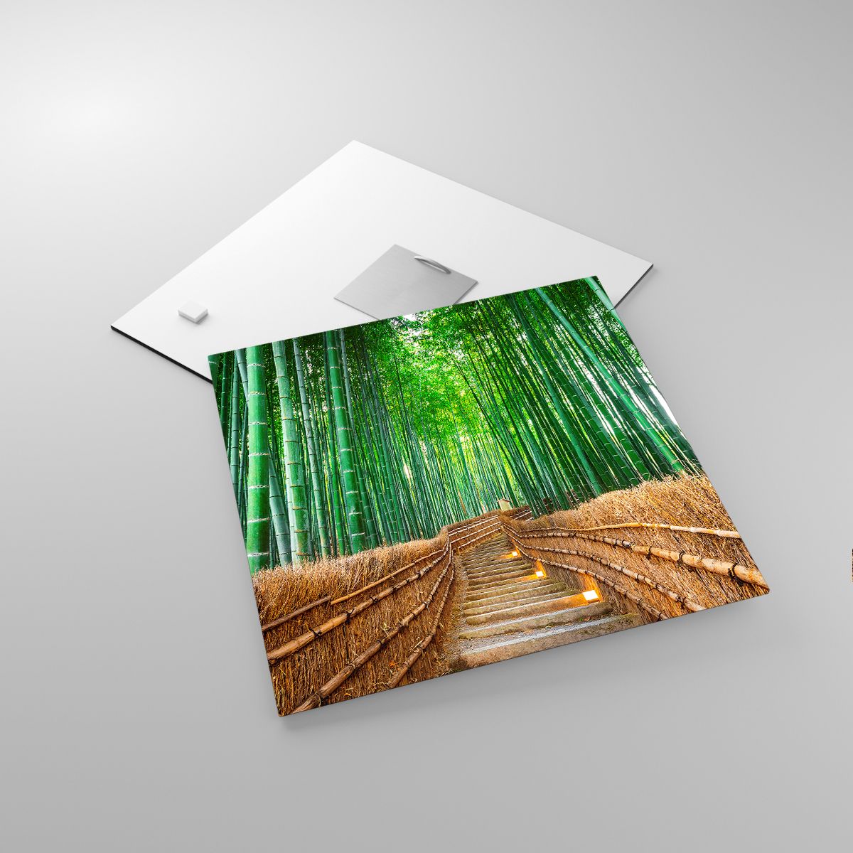 Glasbild Bambus, Glasbild Bambuswald, Glasbild Natur, Glasbild Landschaft, Glasbild Asien