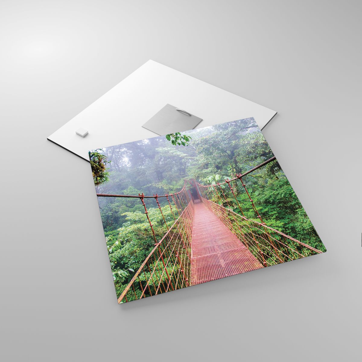 Obrazy Krajobraz, Obrazy Dżungla, Obrazy Kostaryka, Obrazy Wiszący Most, Obrazy Natura
