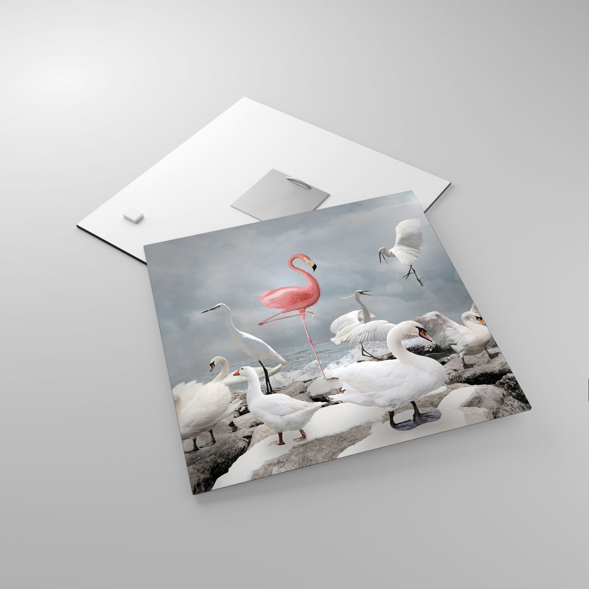 Obraz na plátne Flamingo, Obraz na plátne Swan, Obraz na plátne Vtáky, Obraz na plátne Zvieratá, Obraz na plátne Príroda