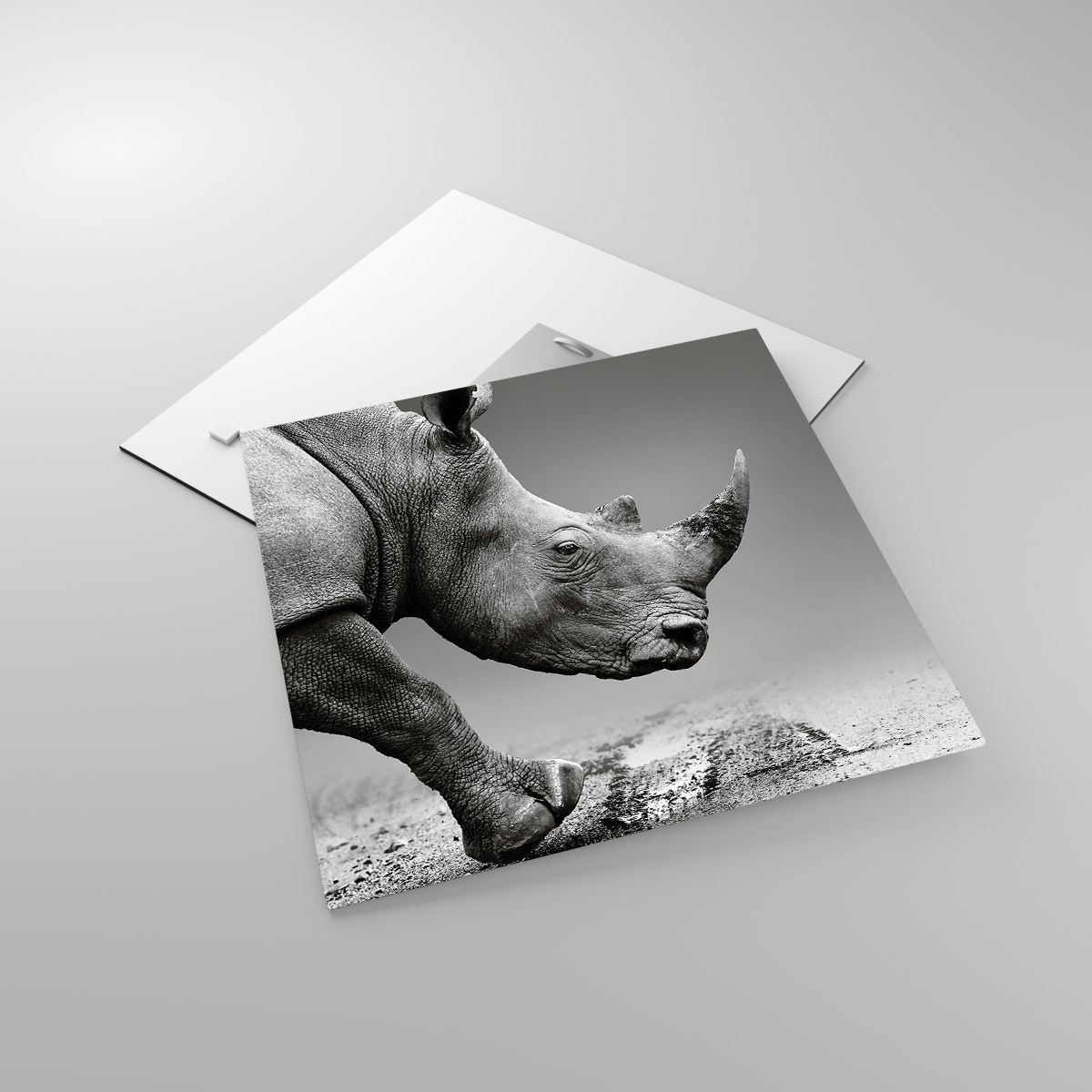 Glasbild Nashorn, Glasbild Tiere, Glasbild Afrika, Glasbild Natur, Glasbild Schwarz Und Weiß