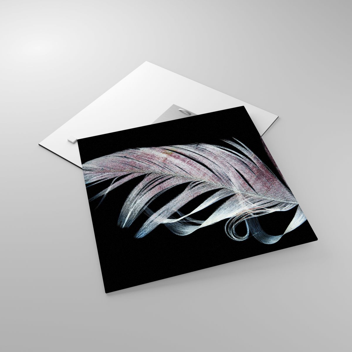 Glass picture  Bird Feather, Glass picture  Graphics, Glass picture  Bird, Glass picture  Wing, Glass picture  Symbol