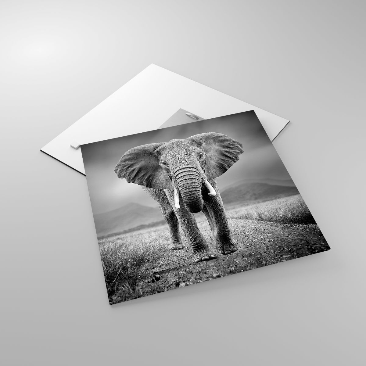 Glasbild Elefant, Glasbild Tiere, Glasbild Landschaft, Glasbild Natur, Glasbild Afrika