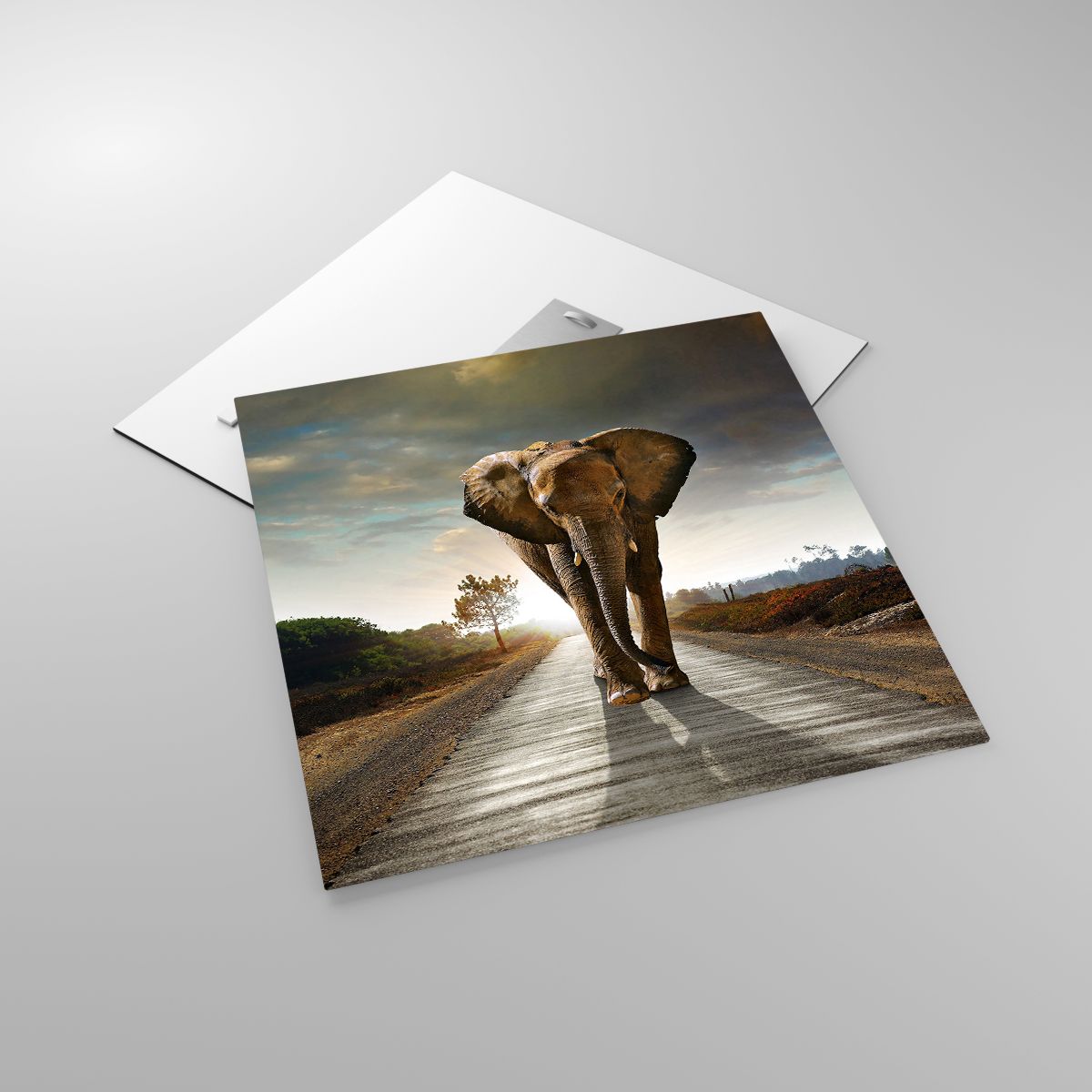 Glasbild Elefant, Glasbild Landschaft, Glasbild Natur, Glasbild Bäume, Glasbild Afrika
