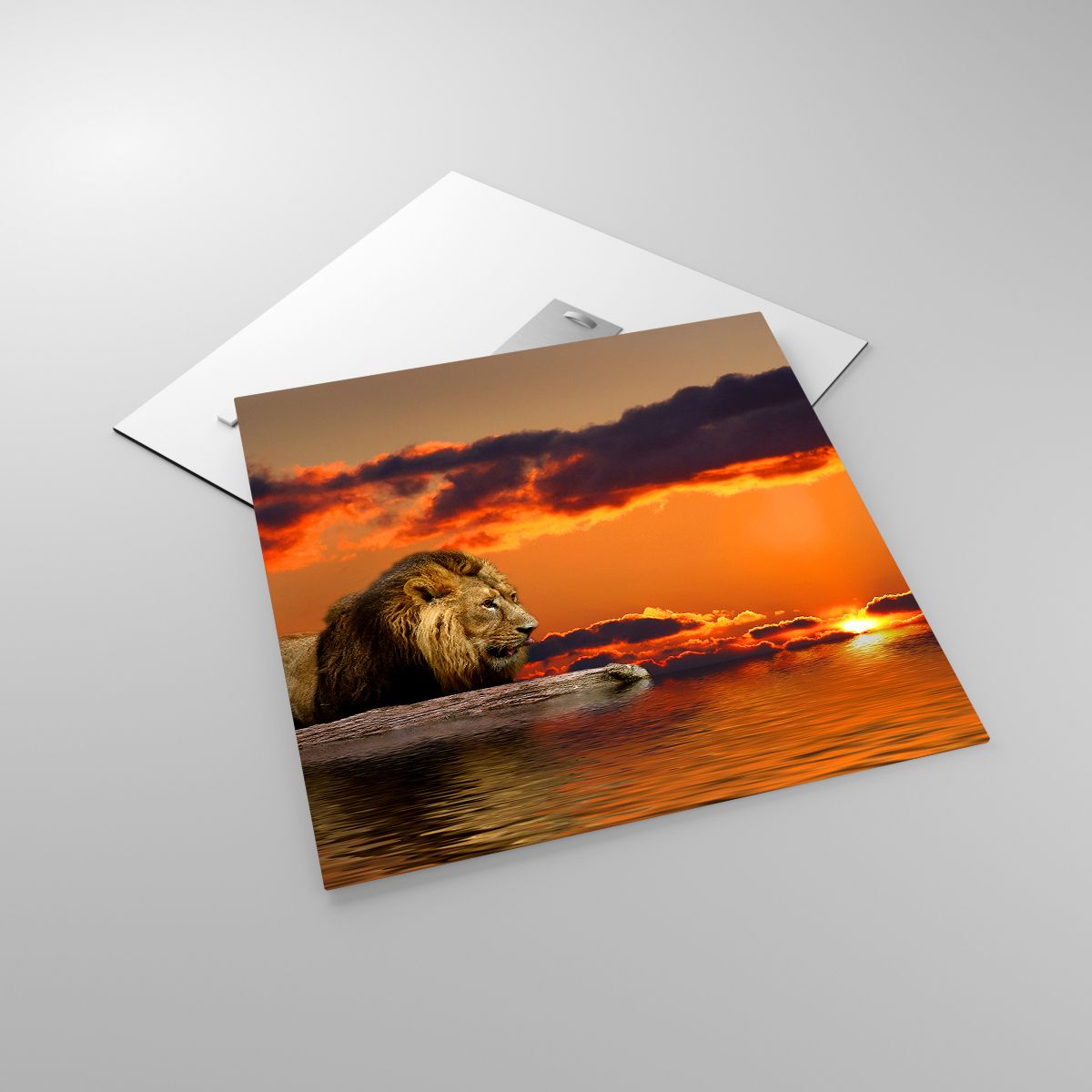 Glasbild Löwe, Glasbild Der Sonnenuntergang, Glasbild Tiere, Glasbild Landschaft, Glasbild Afrika