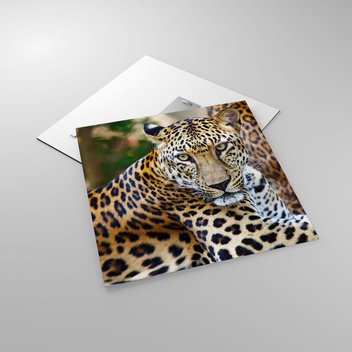 Glasbild Tiere, Glasbild Leopard, Glasbild Afrika, Glasbild Urwald, Glasbild Wildes Tier