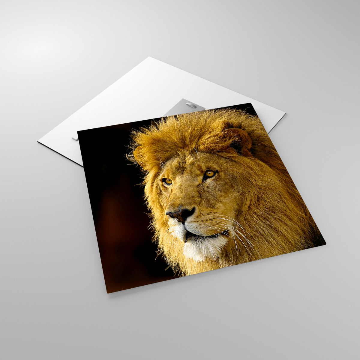 Glasbild  Tiere, Glasbild Löwe, Glasbild Natur, Glasbild Raubtier, Glasbild Afrika
