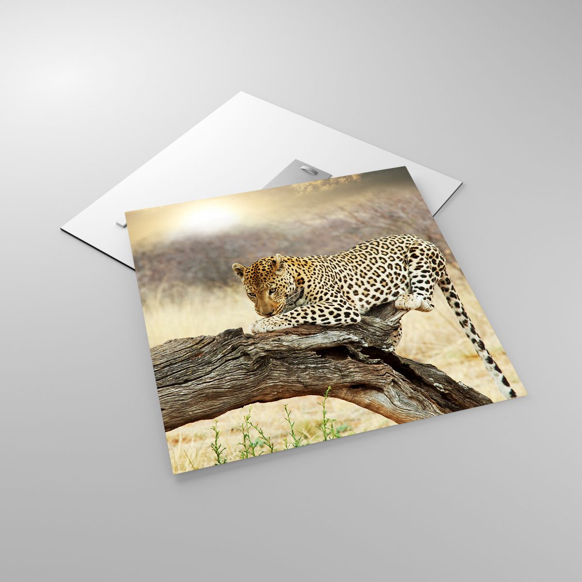 Cuadro Animales, Cuadro Leopardo, Cuadro África, Cuadro Gato Salvaje, Cuadro Sabana