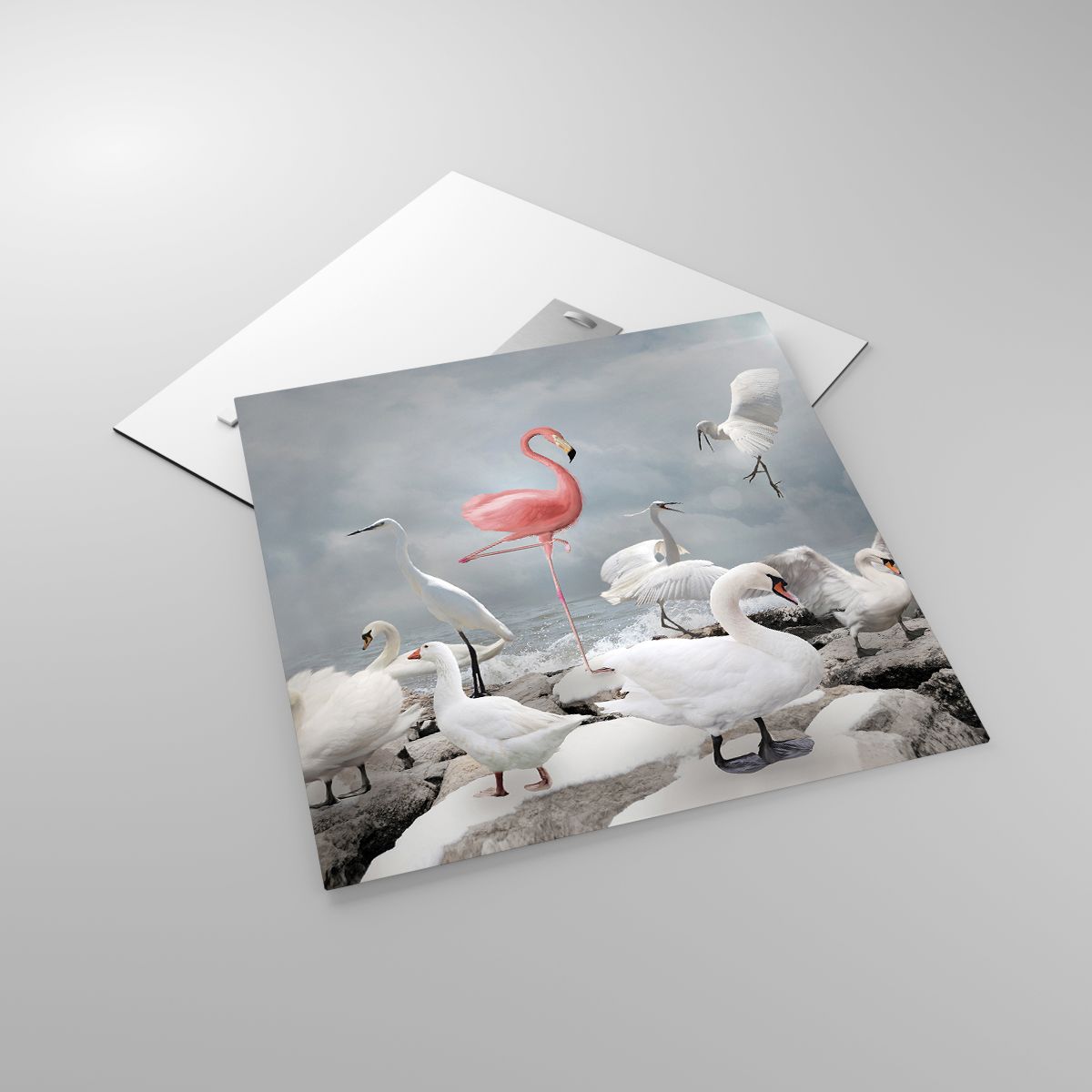 Glasbild Flamingo, Glasbild Schwan, Glasbild Die Vögel, Glasbild Tiere, Glasbild Natur