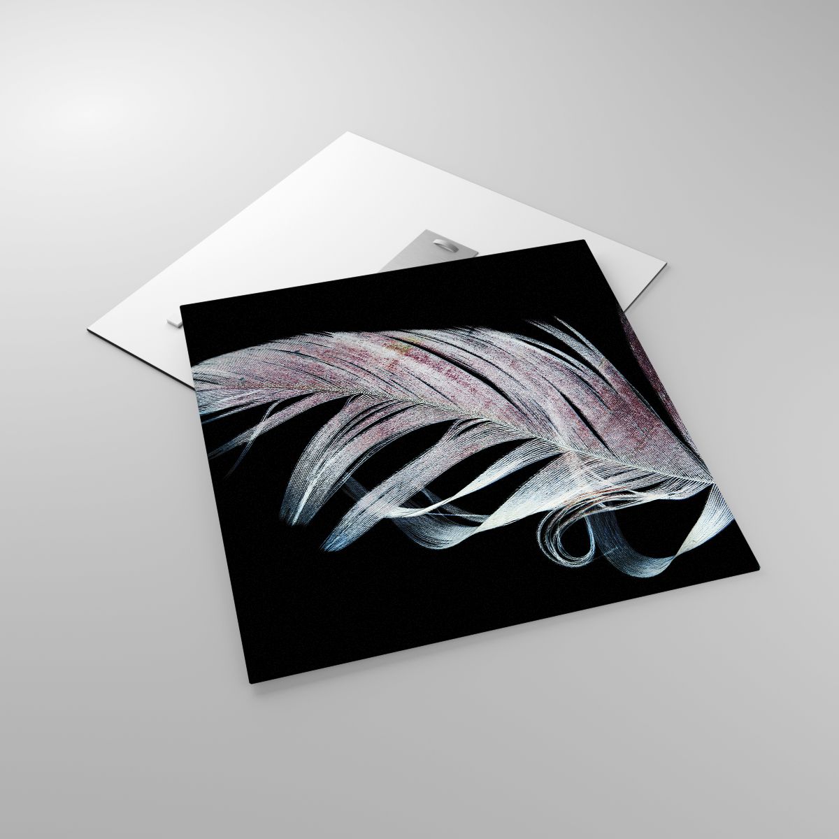 Glass picture  Bird Feather, Glass picture  Graphics, Glass picture  Bird, Glass picture  Wing, Glass picture  Symbol