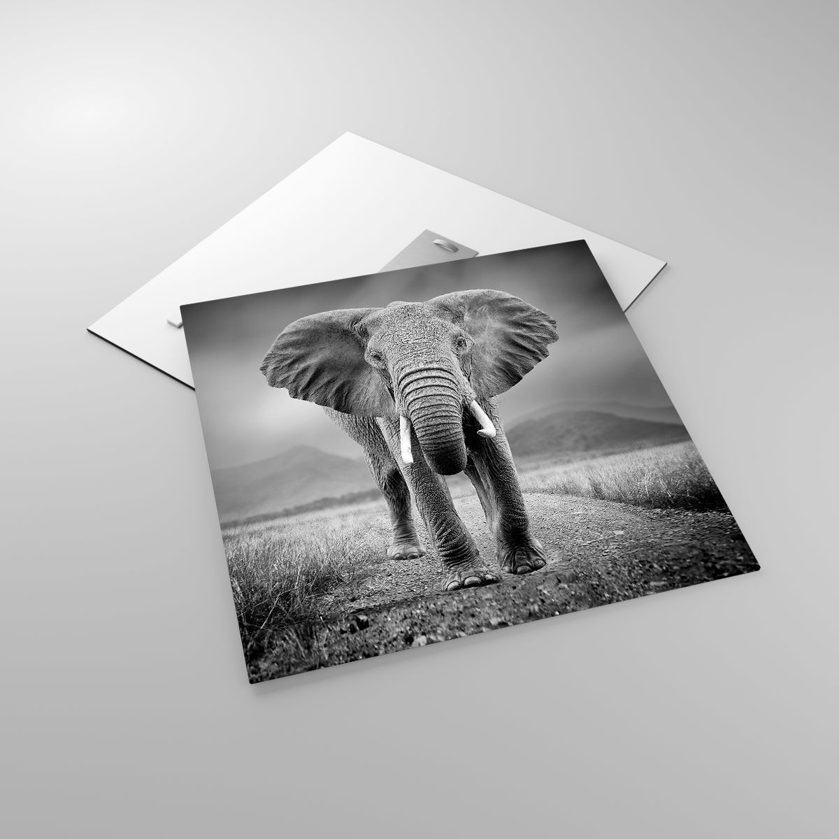 Obrazy Słoń, Obrazy Zwierzęta, Obrazy Krajobraz, Obrazy Natura, Obrazy Afryka