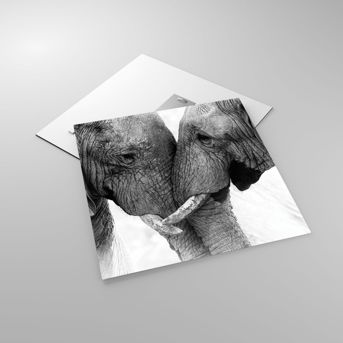 Glasbild Elefant, Glasbild Tiere, Glasbild Afrika, Glasbild Schwarz Und Weiß, Glasbild Liebe