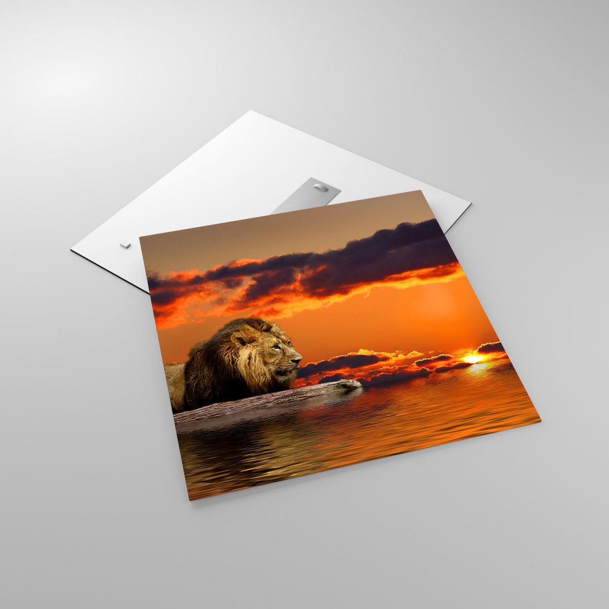 Glasbild Löwe, Glasbild Der Sonnenuntergang, Glasbild Tiere, Glasbild Landschaft, Glasbild Afrika