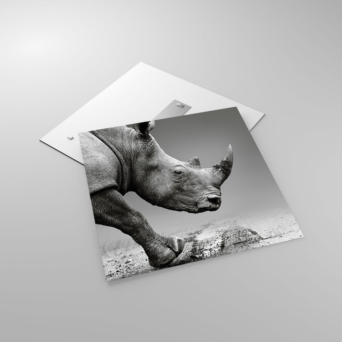 Bild på glas Noshörning, Bild på glas Djur, Bild på glas Afrika, Bild på glas Natur, Bild på glas Svartvitt