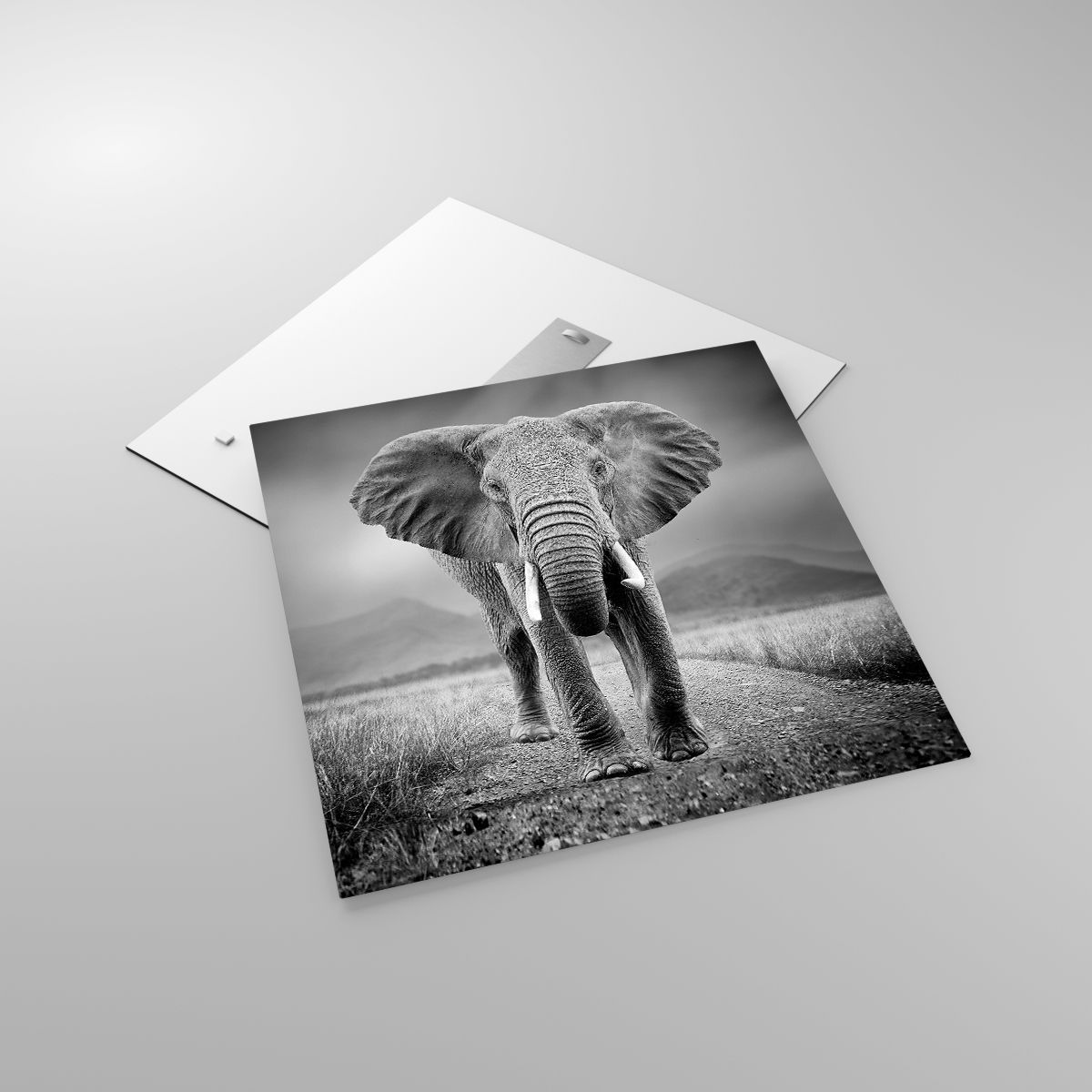 Glasbild Elefant, Glasbild Tiere, Glasbild Landschaft, Glasbild Natur, Glasbild Afrika