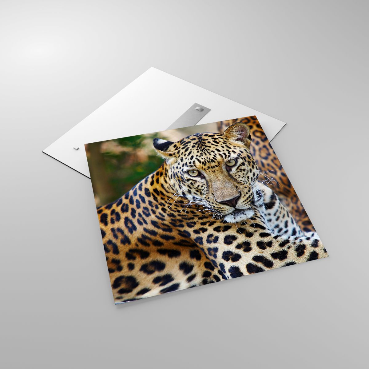 Glasbild Tiere, Glasbild Leopard, Glasbild Afrika, Glasbild Urwald, Glasbild Wildes Tier