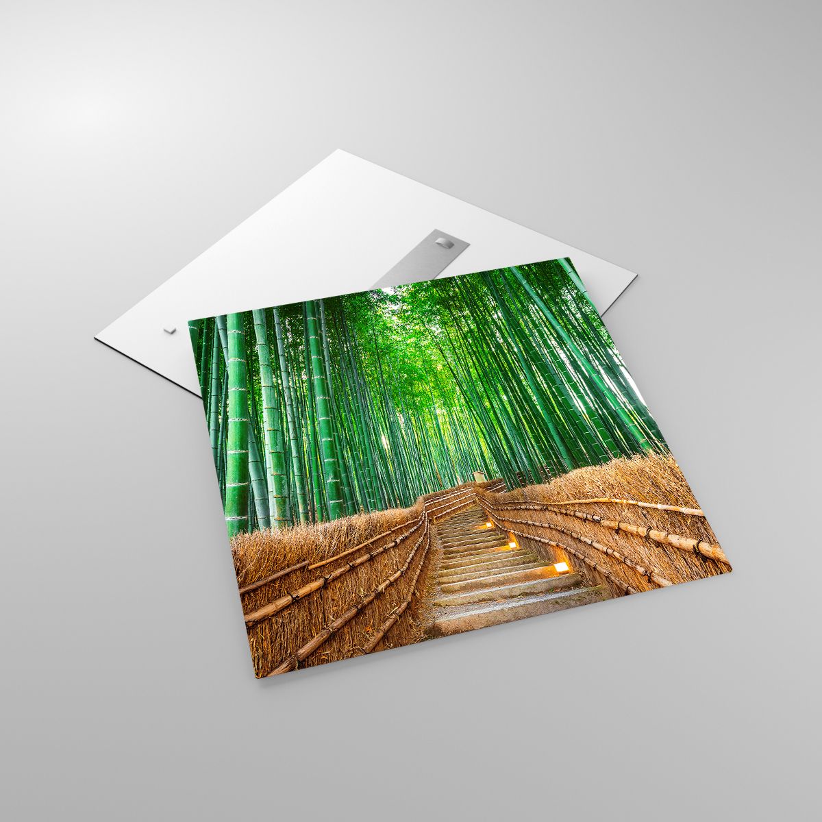 Glasbild Bambus, Glasbild Bambuswald, Glasbild Natur, Glasbild Landschaft, Glasbild Asien