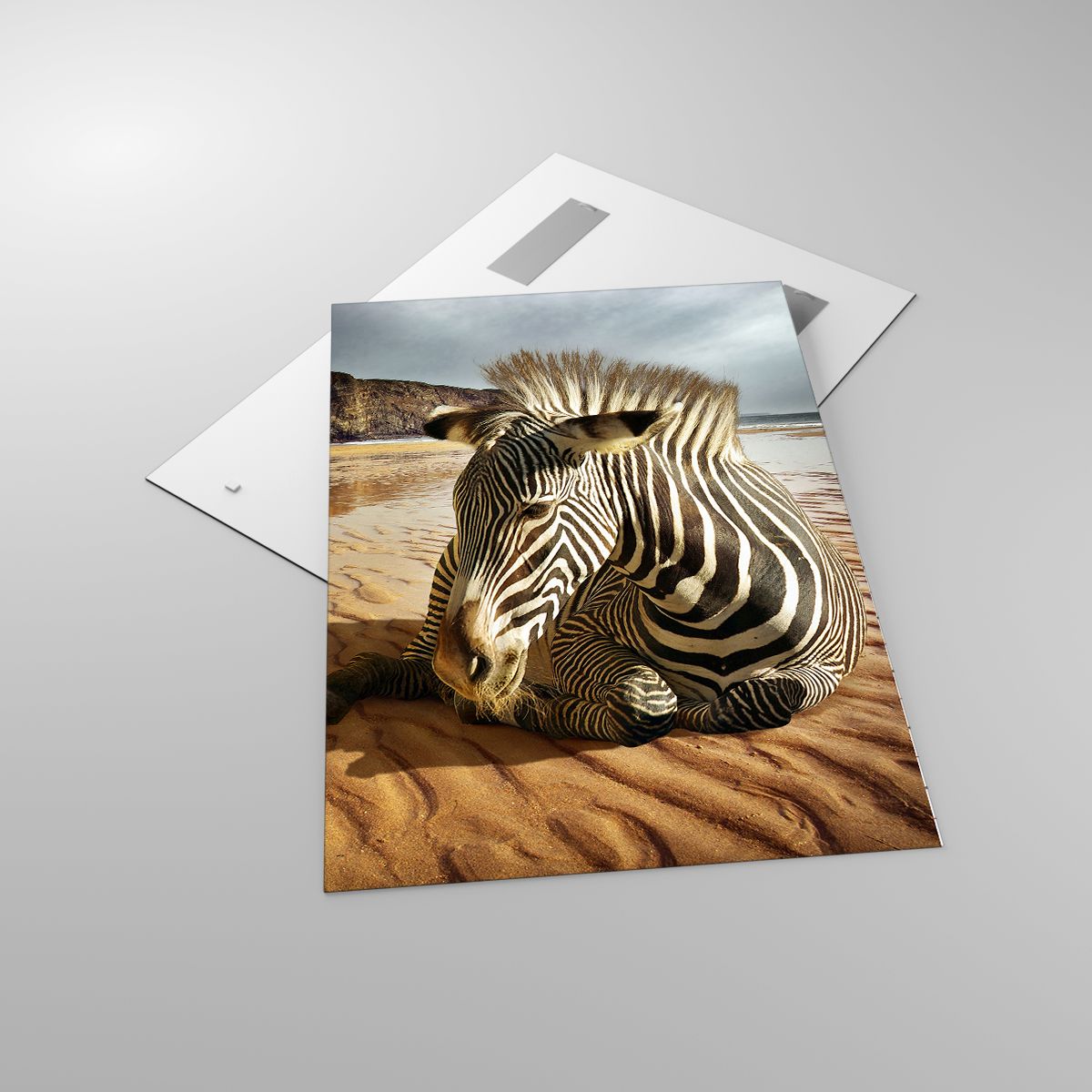 Glasbild Rippen, Glasbild Tiere, Glasbild Landschaft, Glasbild Afrika, Glasbild Wüste