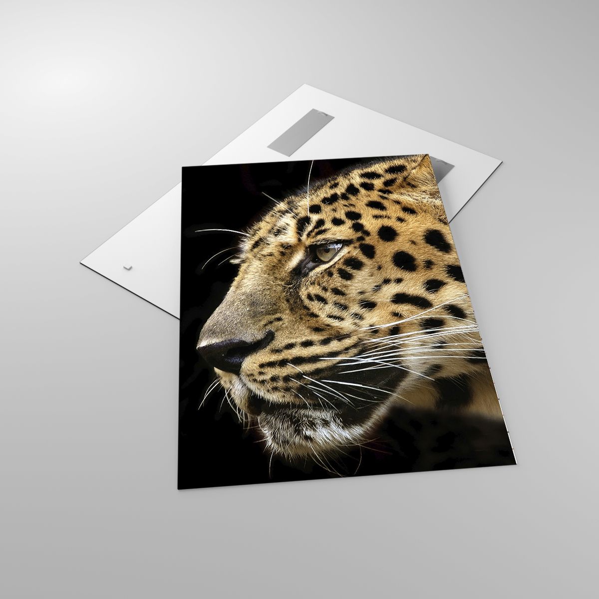 Glasbild Tiere, Glasbild Leopard, Glasbild Afrika, Glasbild Wilde Katze, Glasbild Natur