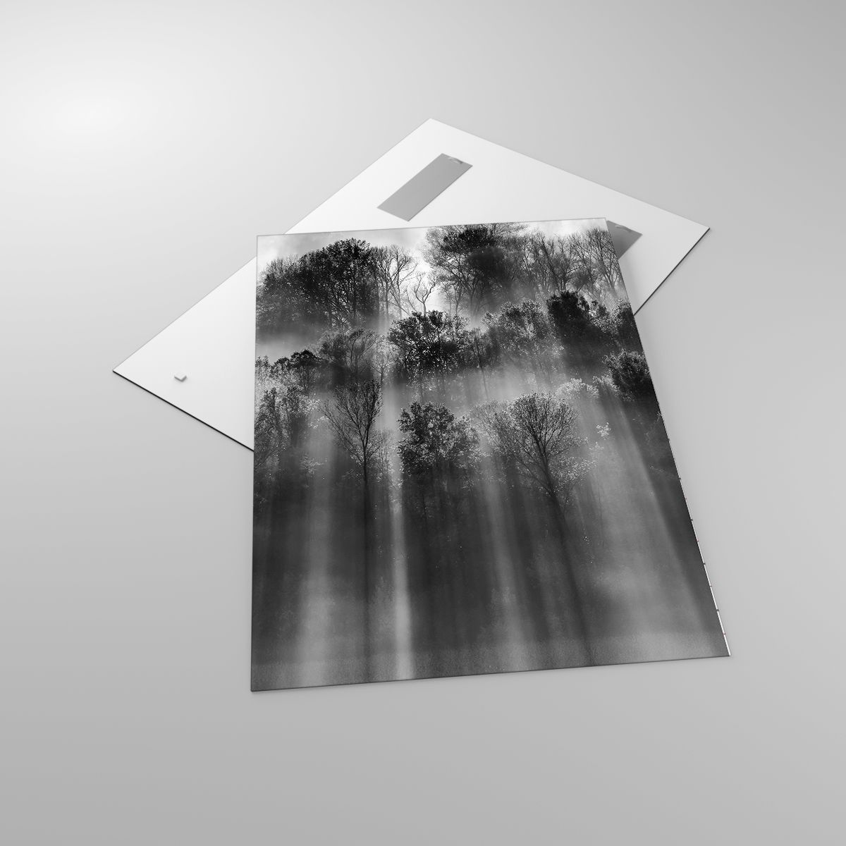 Glass picture  Landscape, Glass picture  Forest, Glass picture  Black And White, Glass picture  Nature, Glass picture  Rays Of The Sun