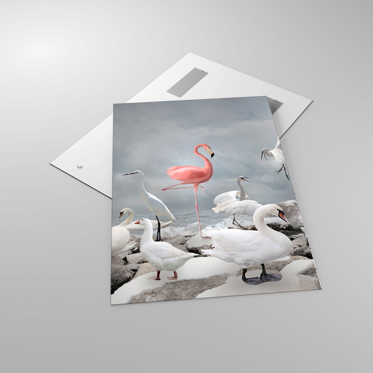 Bild på glas Flamingo, Bild på glas Svan, Bild på glas Fåglarna, Bild på glas Djur, Bild på glas Natur
