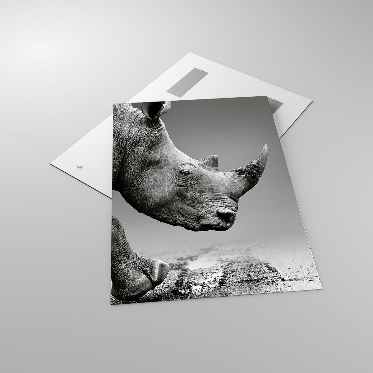 Glasbild Nashorn, Glasbild Tiere, Glasbild Afrika, Glasbild Natur, Glasbild Schwarz Und Weiß