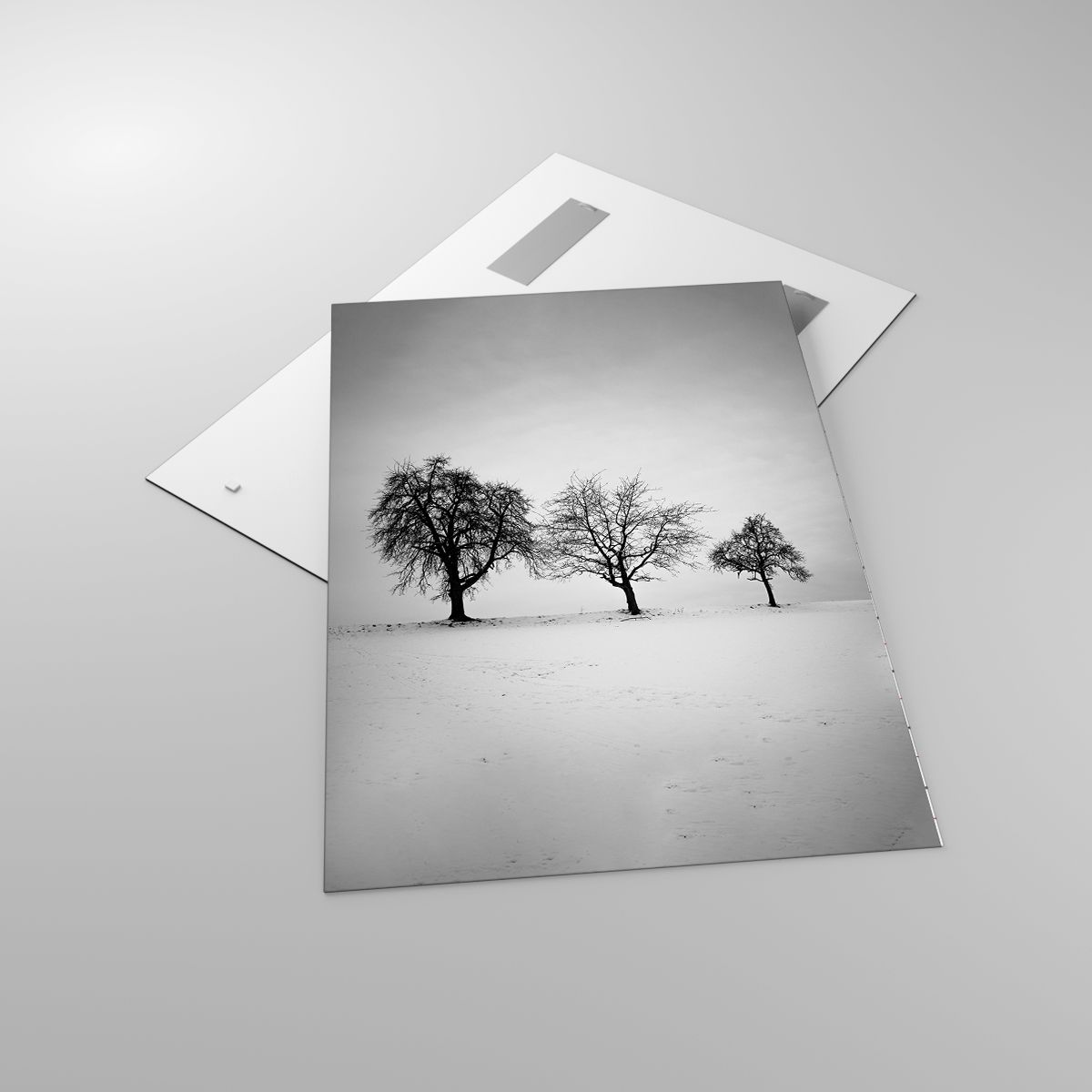 Obrazy Krajobraz, Obrazy Drzewa, Obrazy Zima, Obrazy Natura, Obrazy Czarno-Biały