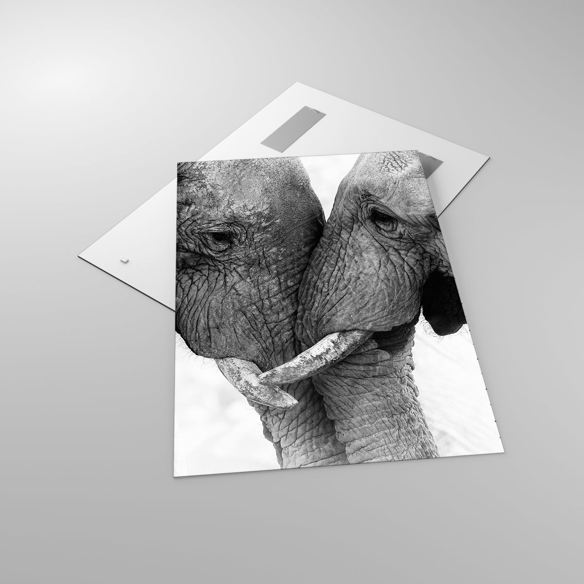 Glasbild Elefant, Glasbild Tiere, Glasbild Afrika, Glasbild Schwarz Und Weiß, Glasbild Liebe