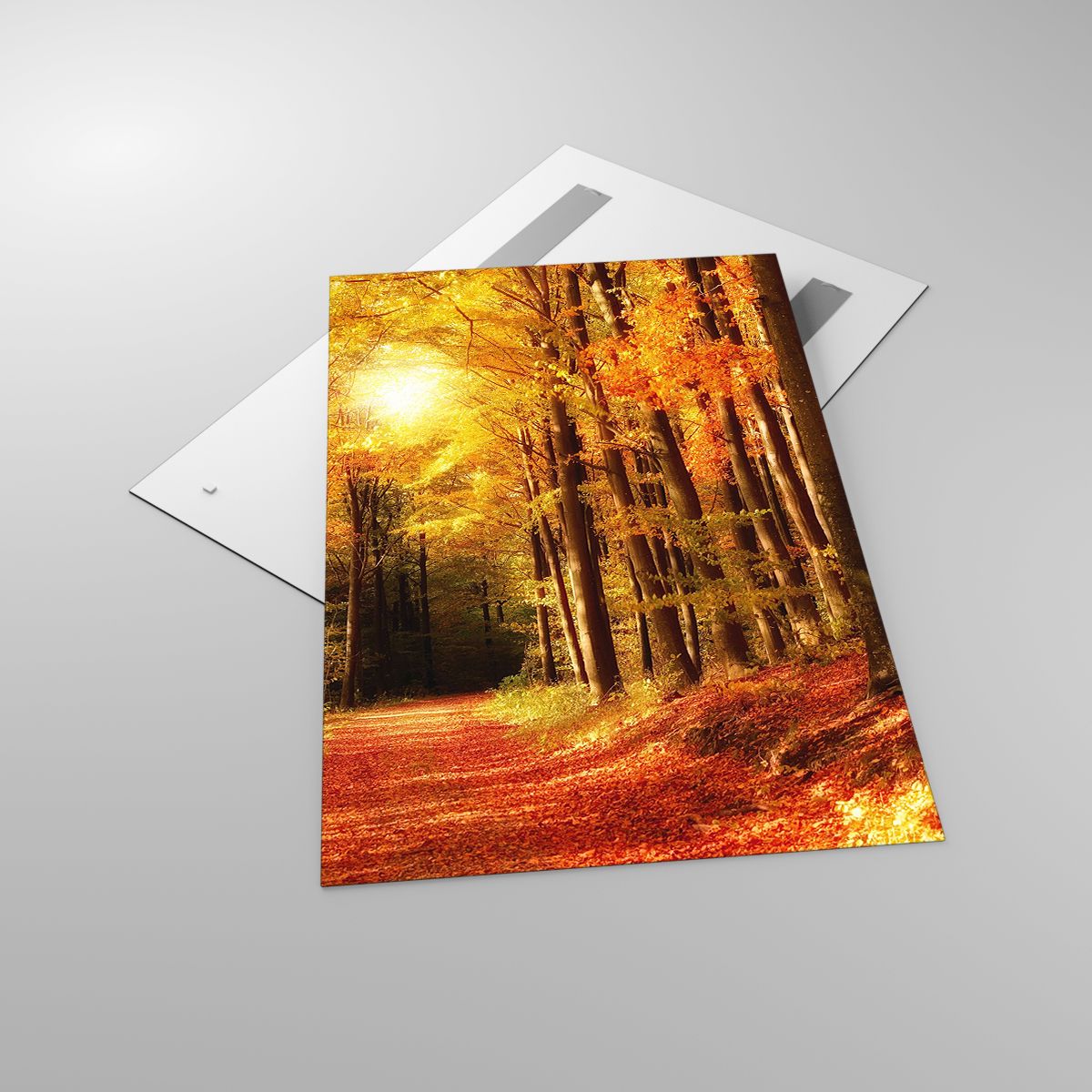 Glasbild Herbst, Glasbild Wald, Glasbild Landschaft, Glasbild Bäume, Glasbild Laub
