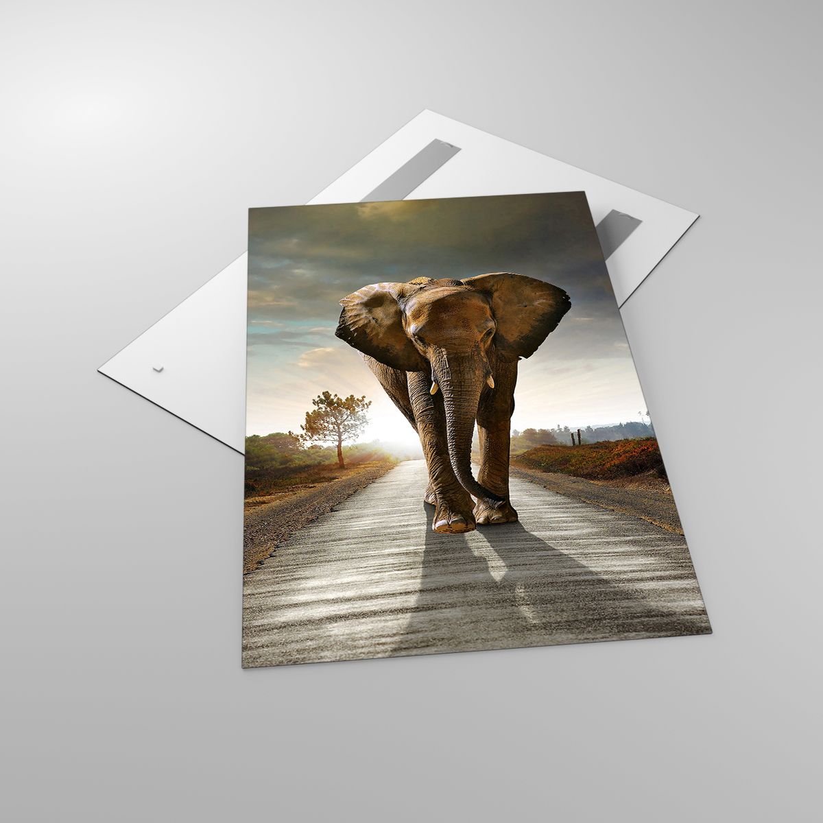 Cuadro Elefante, Cuadro Paisaje, Cuadro Naturaleza, Cuadro Árboles, Cuadro África