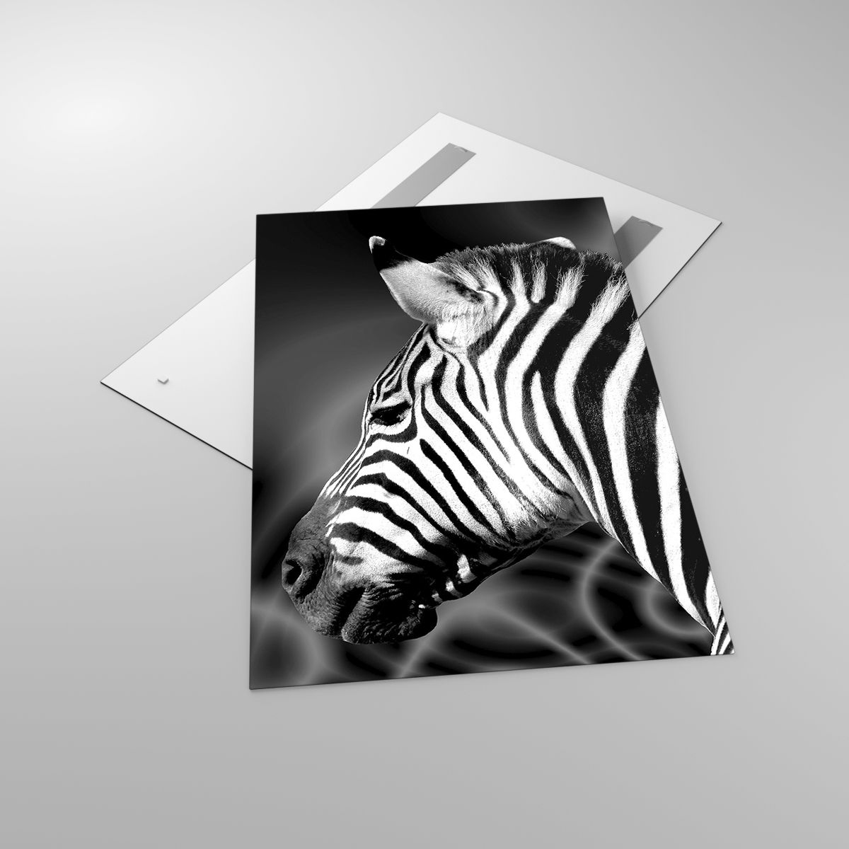 Glasbild Rippen, Glasbild Schwarz Und Weiß, Glasbild Tiere, Glasbild Afrika, Glasbild Natur