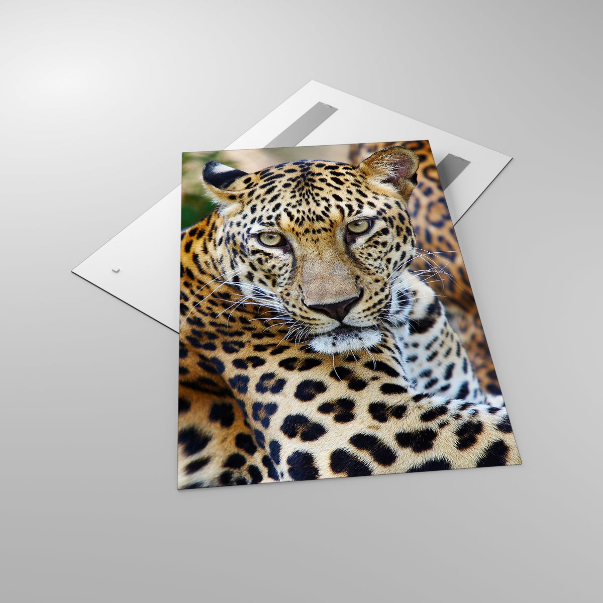 Quadri Animali, Quadri Leopardo, Quadri Africa, Quadri Giungla, Quadri Animale Selvaggio
