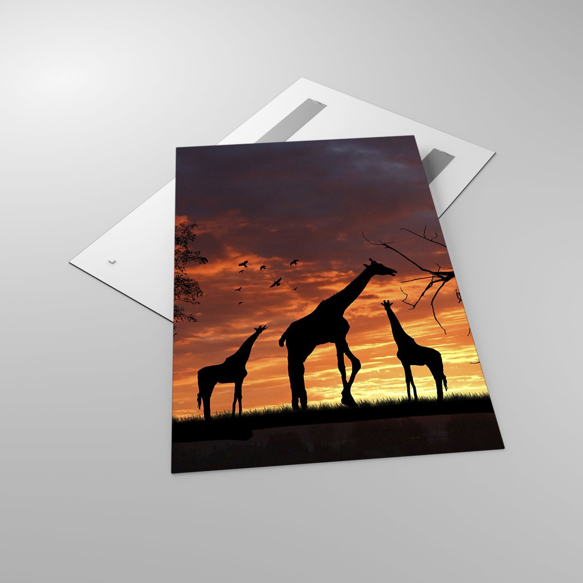 Glasbild Tiere, Glasbild Giraffe, Glasbild Afrika, Glasbild Natur, Glasbild Der Sonnenuntergang