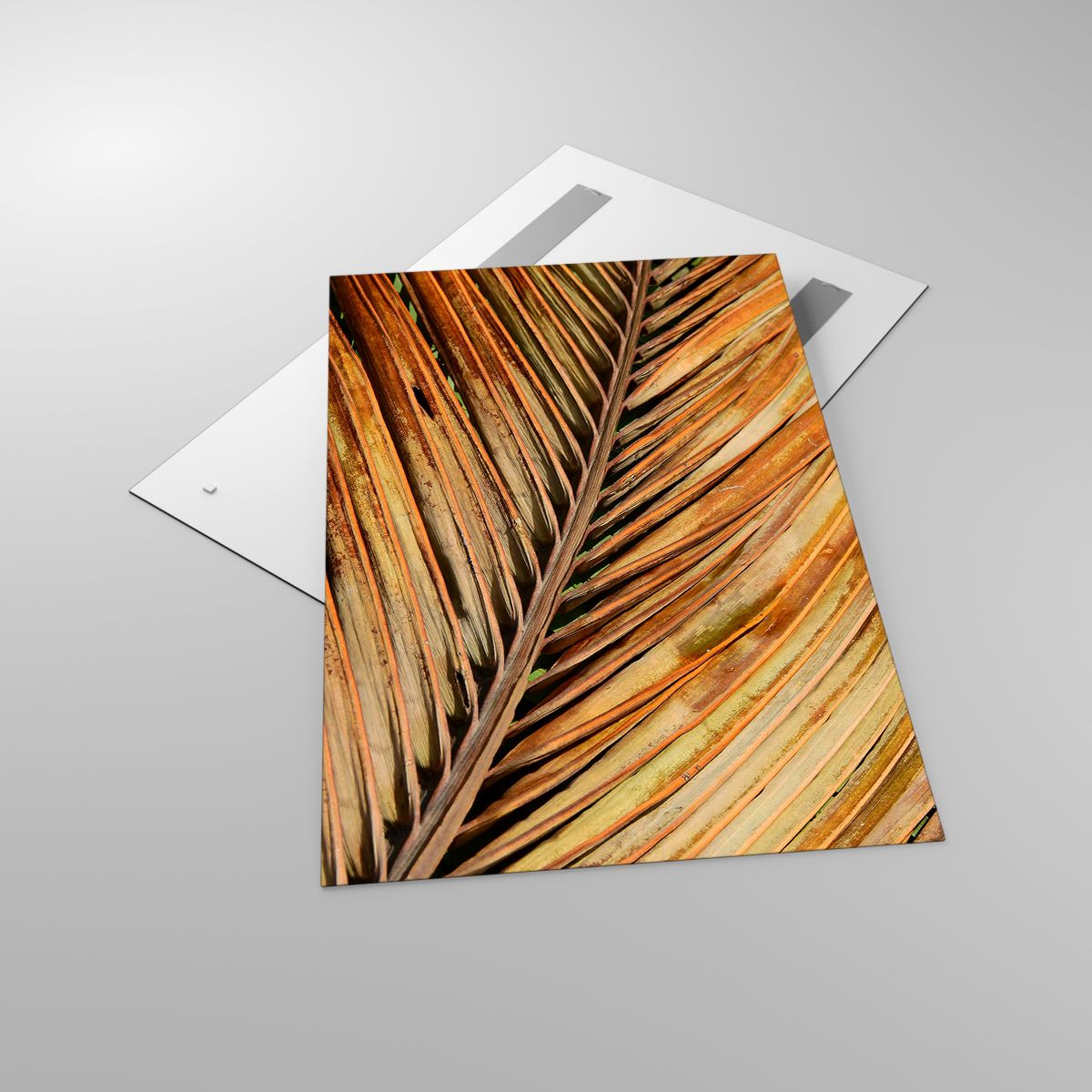 Glasbild Kokusnuss-Palme, Glasbild Palmenblätter, Glasbild Urwald, Glasbild Natur, Glasbild Blumen