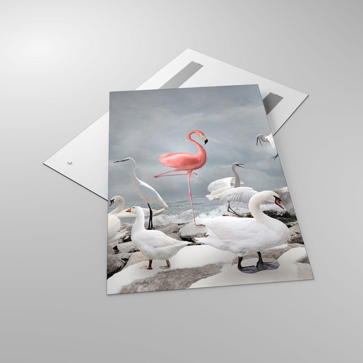 Glasbild Flamingo, Glasbild Schwan, Glasbild Die Vögel, Glasbild Tiere, Glasbild Natur
