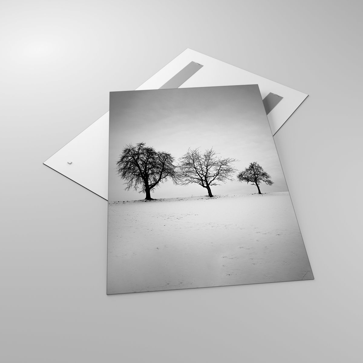 Glasbild Landschaft, Glasbild Bäume, Glasbild Winter, Glasbild Natur, Glasbild Schwarz Und Weiß