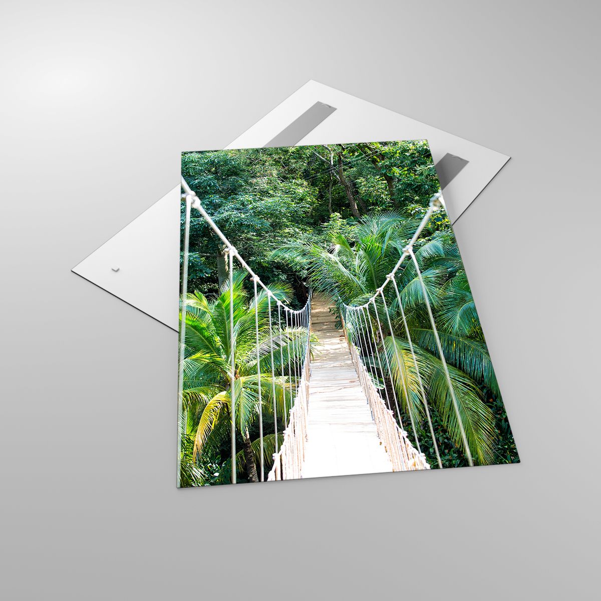 Obraz na plátne Krajina, Obraz na plátne Džungle, Obraz na plátne Honduras, Obraz na plátne Závesný Most, Obraz na plátne Príroda