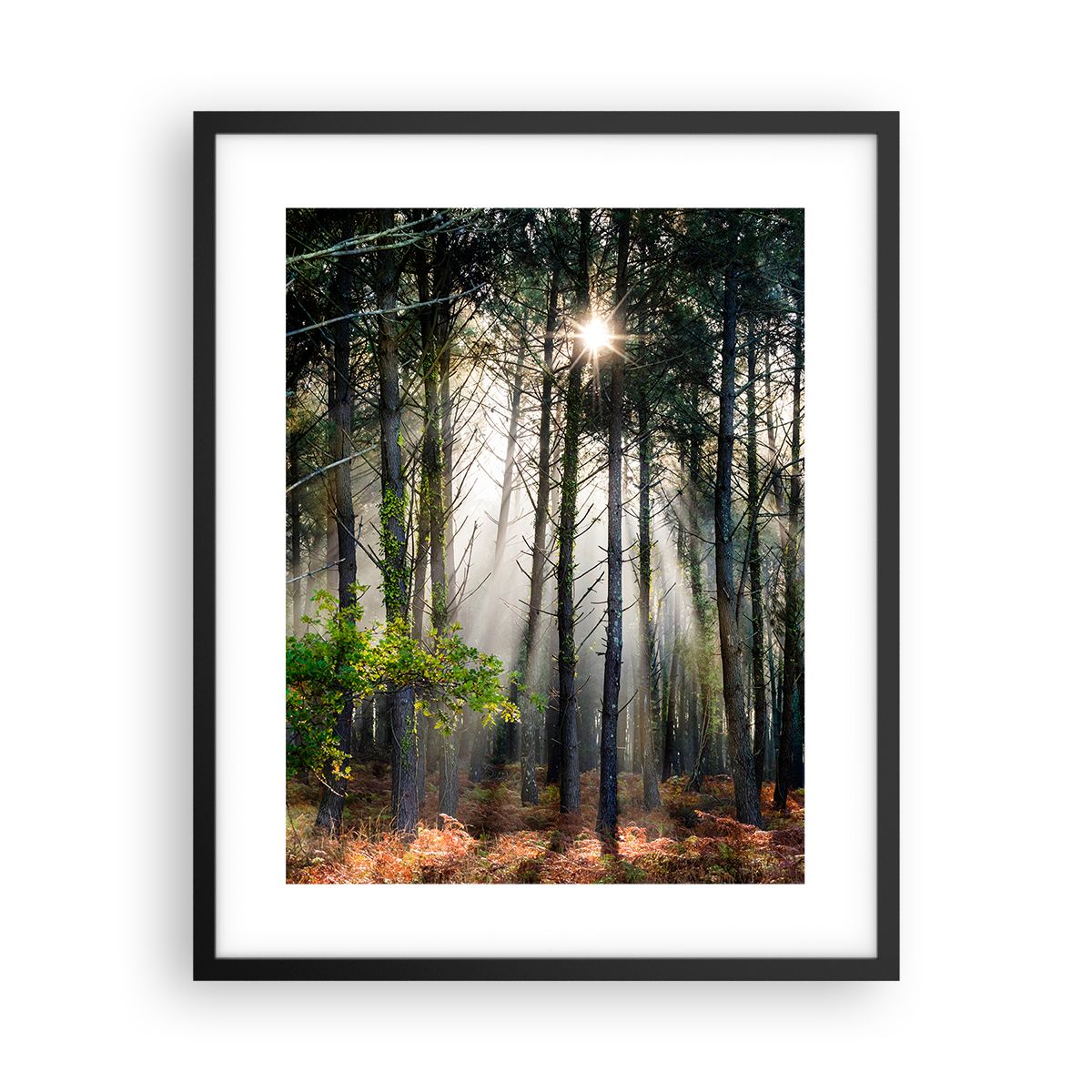 Poster Wandbilder 40x50 Cm - Saxophoniste Style Huile - Décoration Murale Moderne - Neuf