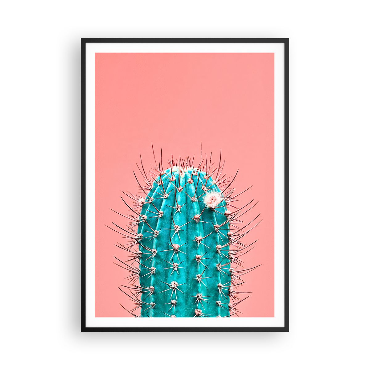 Wandbilder 70x100cm Poster Kaktus Pastell Minimalismus Bilder Art Wanddeko  | eBay.de
